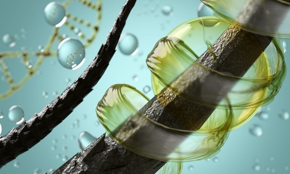 Top 10 Foods That Boost Hair Growth And Prevent Hair Thinning 54 Foods That Boost Hair Growth